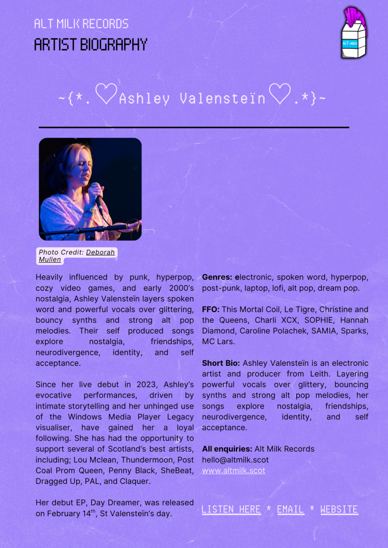 Artist Bio Example